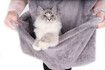 Machine washable cat bed apron sleeping bag to prevent clothes from getting covered in fur