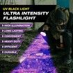 Black Light Flashlight 100 LED Lamp Blacklight Inspection Pet Urine & Stains 385-395nm LEDs Spot Counterfeit Money Leaks