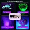 UV Flashlight Black Light 51 LED 395 nM Ultraviolet Blacklight Detector for Dog Urine Pet Stains and Bed Bug