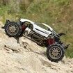 Terrains RC Racing Car 2.4GHz High Speed 20km/h 1/14 2WD Climbing Buggy Toys Playing Holiday Party Gifts