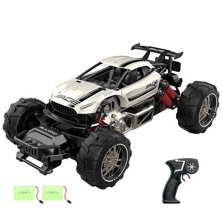 Terrains RC Racing Car 2.4GHz High Speed 20km/h 1/14 2WD Climbing Buggy Toys Playing Holiday Party Gifts