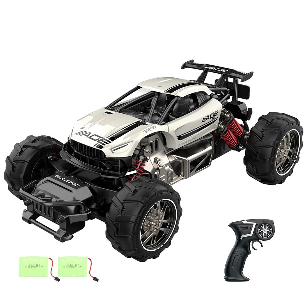 Terrains RC Racing Car 2.4GHz High Speed 20km/h 1/14 2WD Climbing Buggy Toys Playing Holiday Party Gifts