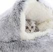 Round Plush Fluffy Hooded Cat Bed Cave, Cozy for Indoor Cats or Small Dog beds, Soothing Calm Anti-nxiety Bed Waterproof Bottom Washable (50cm, Grey)