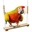 Chicken Swing Toy for Coop,Natural Safe Wooden Accessories Large Durable Perch Ladder for Poultry Run Rooster Hens Chicks Pet Parrots Macaw Entertainment Stress Relief for Birds