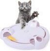 Cat Toy, Interactive Automatic Toy for Cat or Kitten, Adjustable Electronic Battery Operated Toy