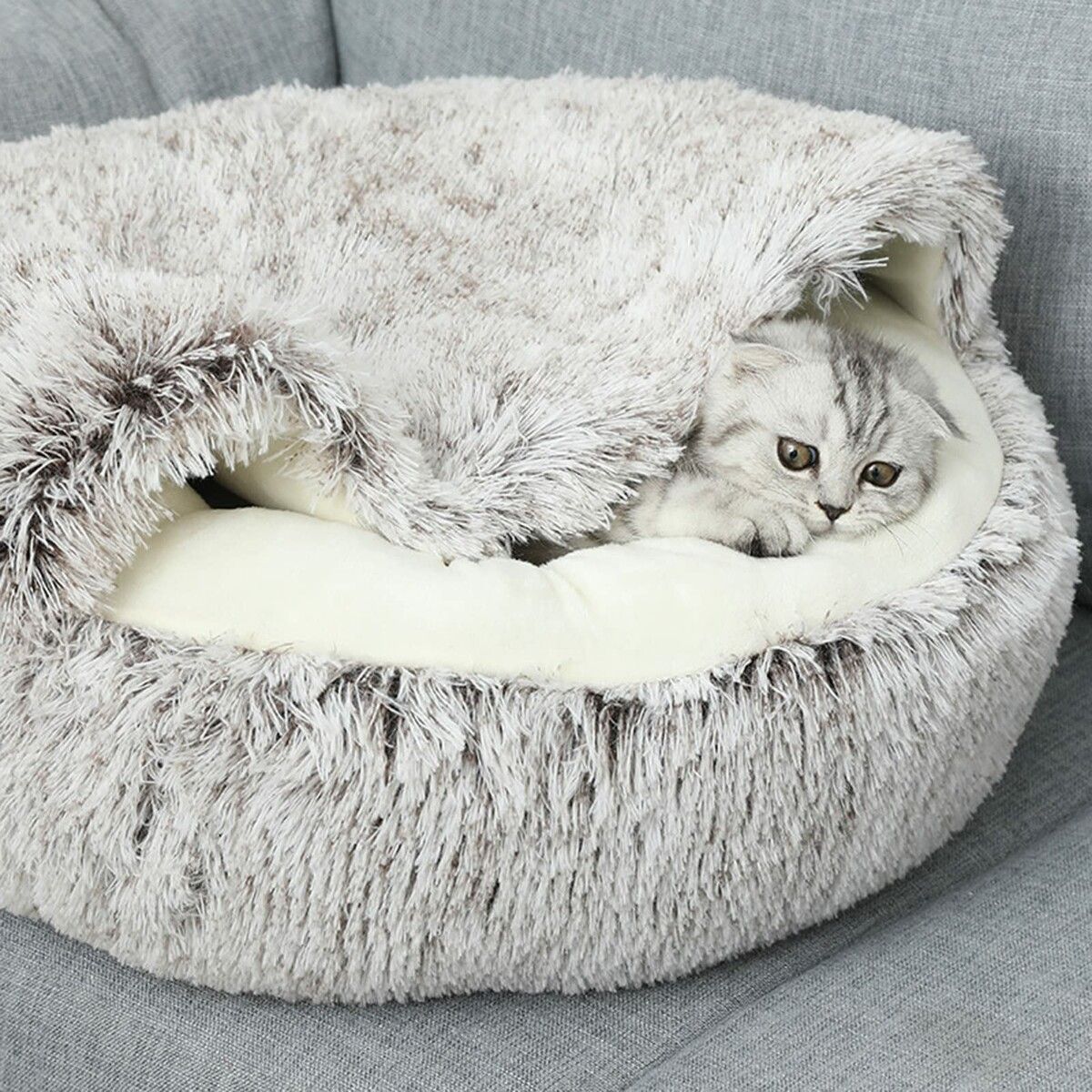 https://img.crazysales.com.au/products_pictures/297/297601_2572695_F.jpg
