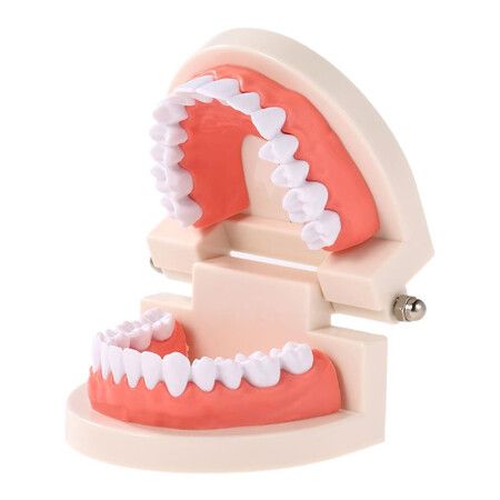 https://img.crazysales.com.au/products_pictures/297/297855_2575543_F.jpg