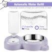 Dog Cat Bowls Pet Water Food Bowl Set with Auto Dispenser Bottle Detachable for Small Dogs Cats Rabbit-Purple