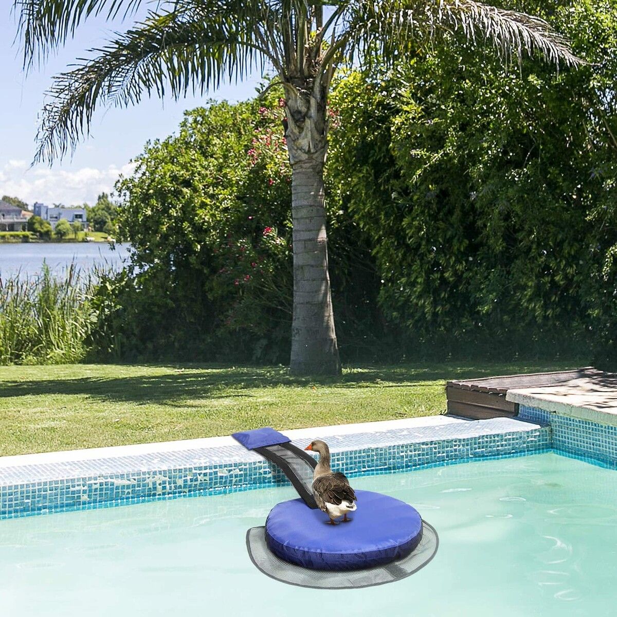 https://img.crazysales.com.au/products_pictures/298/298158_2578865_F.jpg