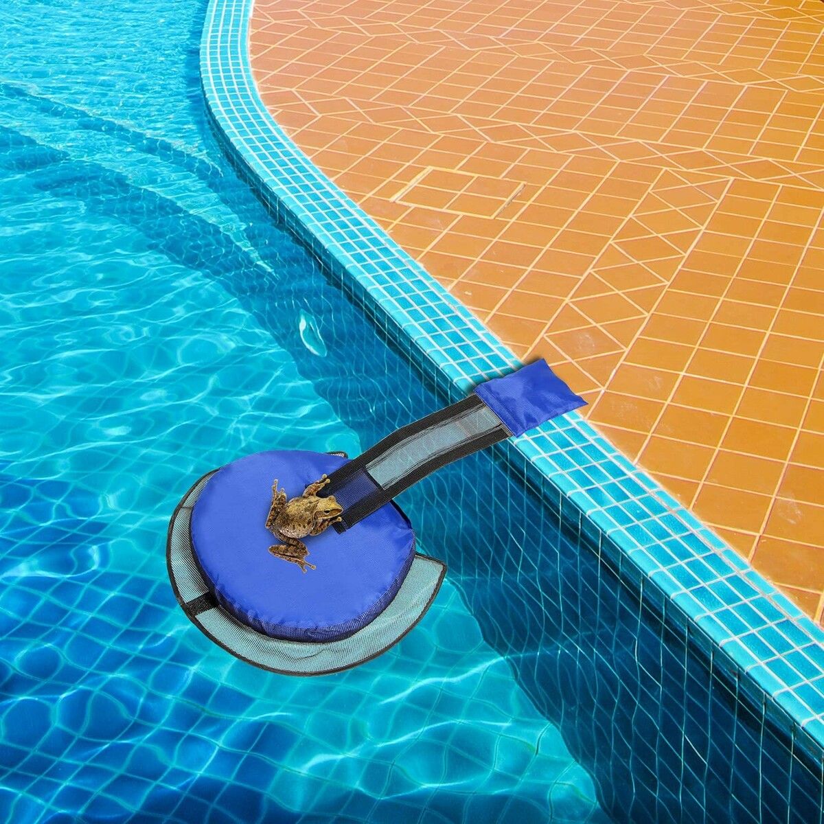 https://img.crazysales.com.au/products_pictures/298/298158_2578866_F.jpg