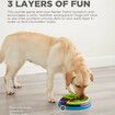 Lickin' Layers Interactive Dog Puzzle Game and Slow Feeder