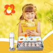 20 Eggs Incubator Automatic Hatching Chicken Chick Quail Duck Hatcher Machine Digital with Turner Candling LED