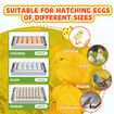 20 Eggs Incubator Automatic Hatching Chicken Chick Quail Duck Hatcher Machine Digital with Turner Candling LED