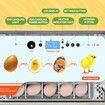 20 Eggs Incubator Automatic Hatching Chicken Chick Quail Duck Hatcher Machine Digital with Turner Candling LED