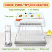 20 Eggs Incubator Automatic Hatching Chicken Chick Quail Duck Hatcher Machine Digital with Turner Candling LED