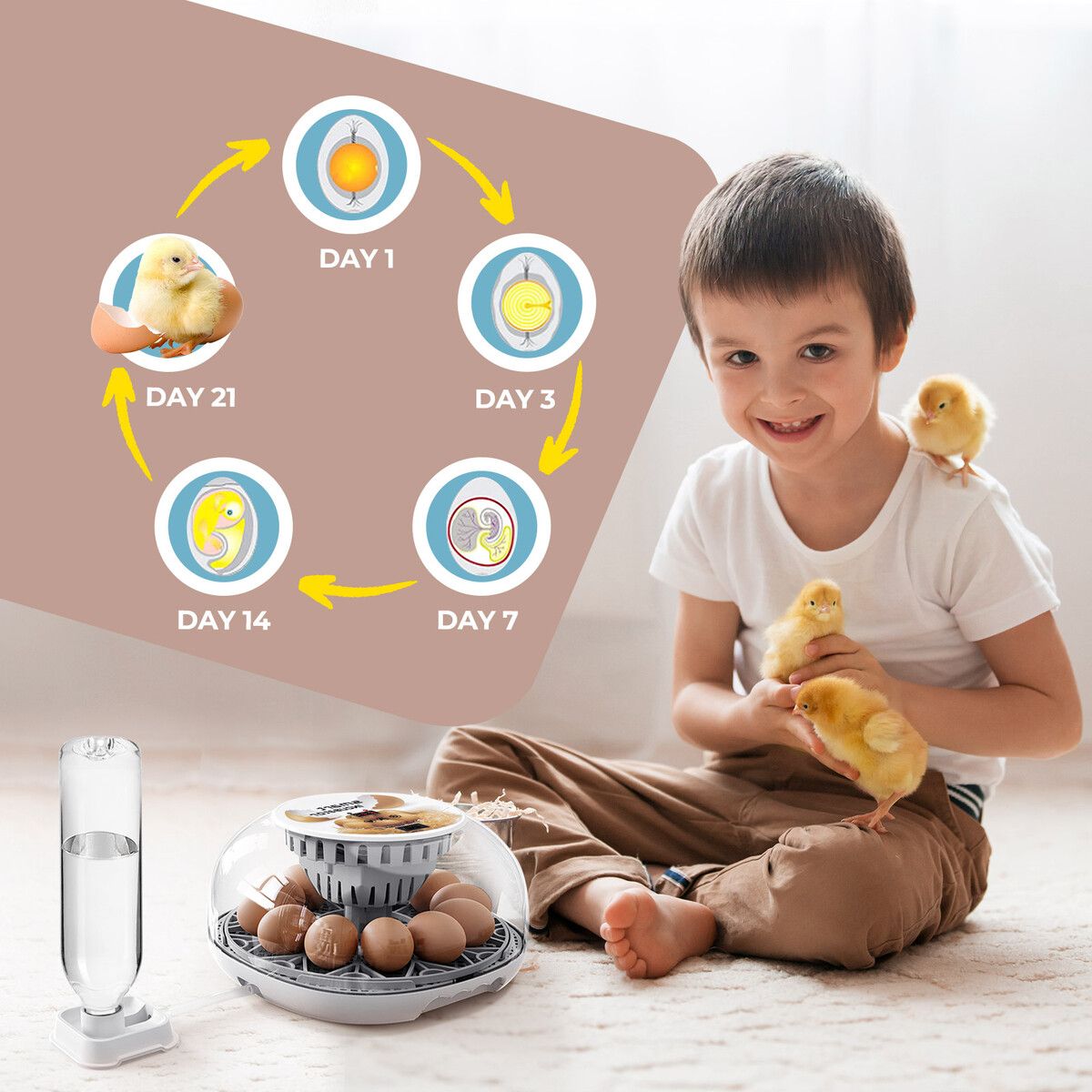 https://img.crazysales.com.au/products_pictures/298/298245_2580185_F.jpg
