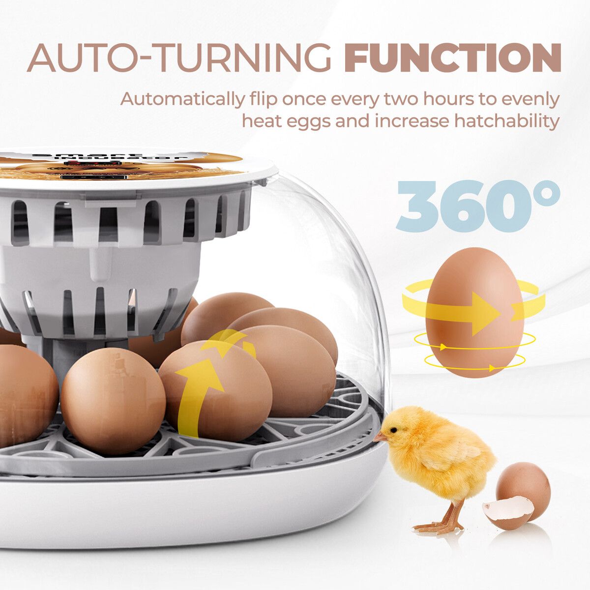https://img.crazysales.com.au/products_pictures/298/298245_2580190_F.jpg