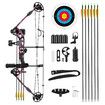 Compound Bow Arrows Set Archery Equipment Hunting Target Shooting Sports Practice Kit 20-55lbs RH Adjustable 310fps Speed Adult Beginner Master