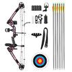 Compound Bow Arrows Set Archery Equipment Hunting Target Shooting Sports Practice Kit 20-55lbs RH Adjustable 310fps Speed Adult Beginner Master