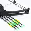 Compound Bow Arrow Archery Set 15-20lbs Sports Hunting Target Shooting RH Adjustable Speed for Youth Beginner Practice Black