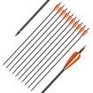 10x Carbon Arrows 30 Inch Archery Hunting Compound Recurve Long Bow Target Shooting Practice Spine 500 Kids Adults