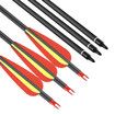 10x Carbon Arrows 30 Inch Archery Hunting Compound Recurve Long Bow Target Shooting Practice Spine 500 Kids Adults