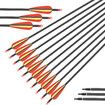 10x Carbon Arrows 30 Inch Archery Hunting Compound Recurve Long Bow Target Shooting Practice Spine 500 Kids Adults