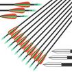 10x Fiberglass Arrows 76.2cm Archery Target Shooting Practice 18-42lb Compound Recurve Bow Youth Beginners Dia. 6mm