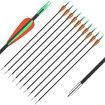 10x Fiberglass Arrows 76.2cm Archery Target Shooting Practice 18-42lb Compound Recurve Bow Youth Beginners Dia. 6mm