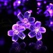 Outdoor Solar Flower String Lights Waterproof 50 LED Fairy Light Decorations for Christmas Tree Garden Patio Fence Yard Spring (Purple)