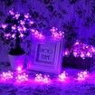 Outdoor Solar Flower String Lights Waterproof 50 LED Fairy Light Decorations for Christmas Tree Garden Patio Fence Yard Spring (Purple)