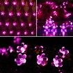 Outdoor Solar Flower String Lights Waterproof 50 LED Fairy Light Decorations for Christmas Tree Garden Patio Fence Yard Spring (Pink)