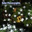 Outdoor Solar Flower String Lights Waterproof 50 LED Fairy Light Decorations for Christmas Tree Garden Patio Fence Yard Spring (Cool White)