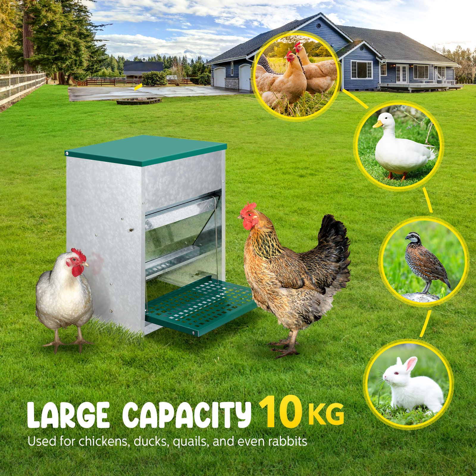 Auto Chicken Feeder 10kg Automatic Treadle Poultry Chook Rat Proof Food