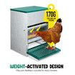 Auto Chicken Feeder 10kg Automatic Treadle Poultry Chook Rat Proof Food Dispenser Feeding Equipment Galvanized Steel