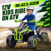 Electric Ride On Car Kids Vehicle Toy ATV Quad Bike 4 Wheeler 12V Motorised Rechargeable Battery MP3 USB LED Childrens