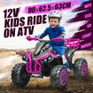 Kids Electric ATV Ride On Car Quad Bike 12V Vehicle Toy 4 Wheeler Motorised Rechargeable Battery MP3 USB LED Children