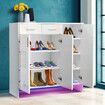 Wooden Shoe Storage Cabinet High Gloss Rack Organiser Shelf Drawer White with Doors RGB Light