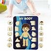 Learning Human Body Parts Body Puzzle for kids Learning Activities Wood Peg Puzzle Game for Kids for Birthday Gift