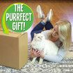 Cat Tree Tower Scratching Post Scratcher Condo Play House Gym Pet Toys Climbing Nest Hammock Kitten Bed Furniture DIY 4 Levels