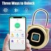 Smart Fingerprint Padlock, Bluetooth Lock, USB Rechargeable, Remote Authorization, IP65 Waterproof, for Locker, Backpack, Bike, Storage