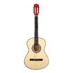 Melodic 38 Inch Folk Dreadnought Acoustic Guitar Pack Classical Cutaway Natural Wood