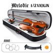 2/4 Acoustic Violin Kit 4 Strings Natural Varnish Finish w Case Bow Rosin Melodic