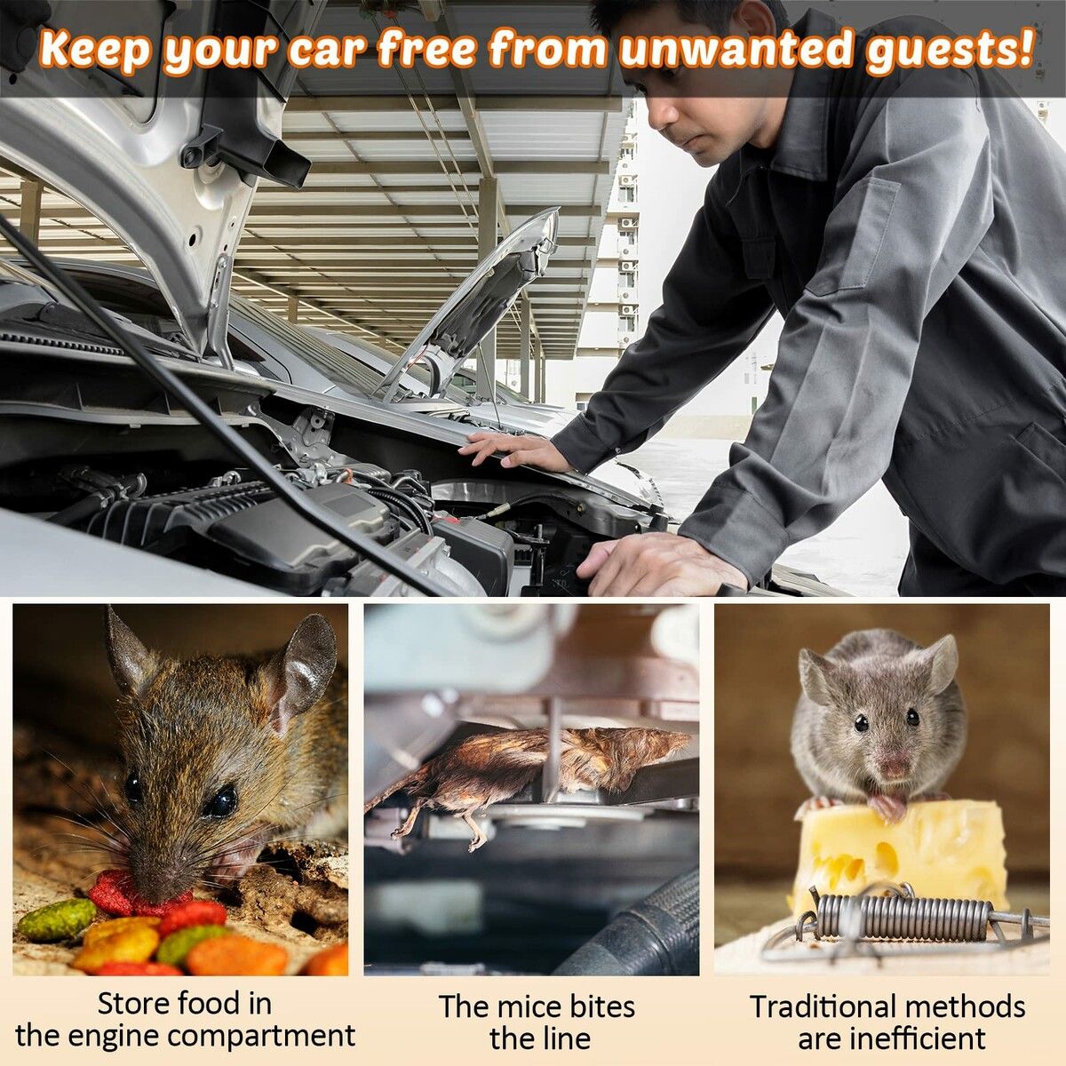 https://img.crazysales.com.au/products_pictures/299/299346_2594279_F.jpg