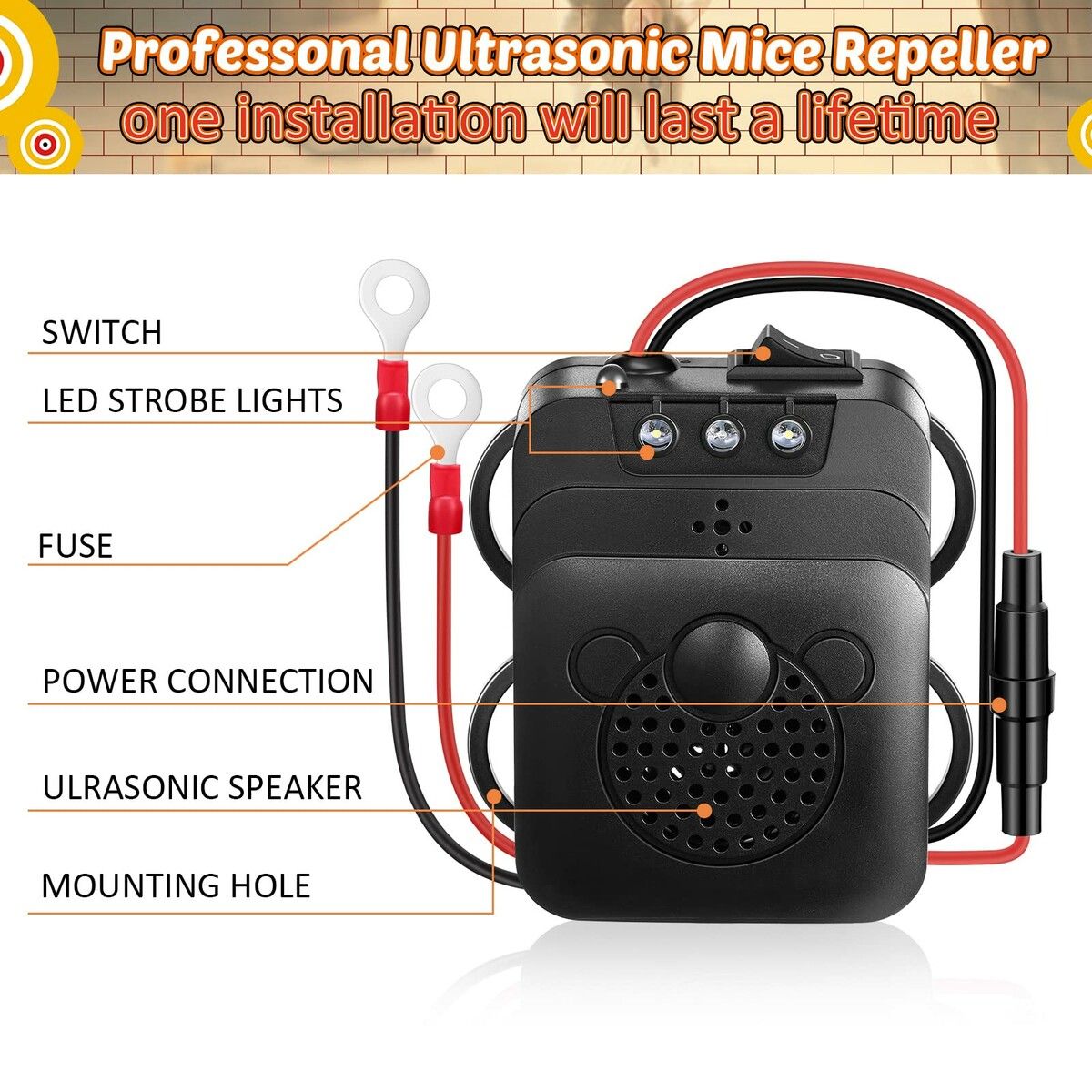 https://img.crazysales.com.au/products_pictures/299/299346_2594281_F.jpg