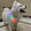 11 Colors LED USB Rechargeable Dog Collar LED Light Night Safety Glowing Collar Pet Luminous Flashing Necklace Anti-Lost Harnesses