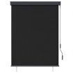 Outdoor Roller Blind 120x250 cm Anthracite