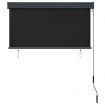 Outdoor Roller Blind 120x250 cm Anthracite