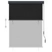 Outdoor Roller Blind 120x250 cm Anthracite