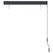 Outdoor Roller Blind 120x250 cm Anthracite